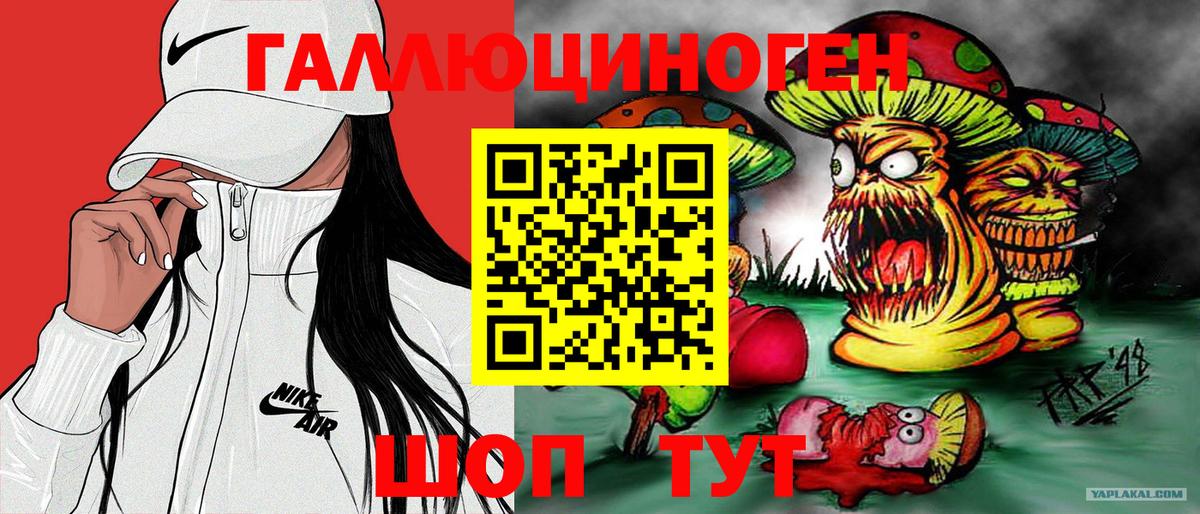 Галлюциногенные грибы MAGIC MUSHROOMS  Вход с VPN  Псилоцибиновые грибы прущие грибы  Унеча 